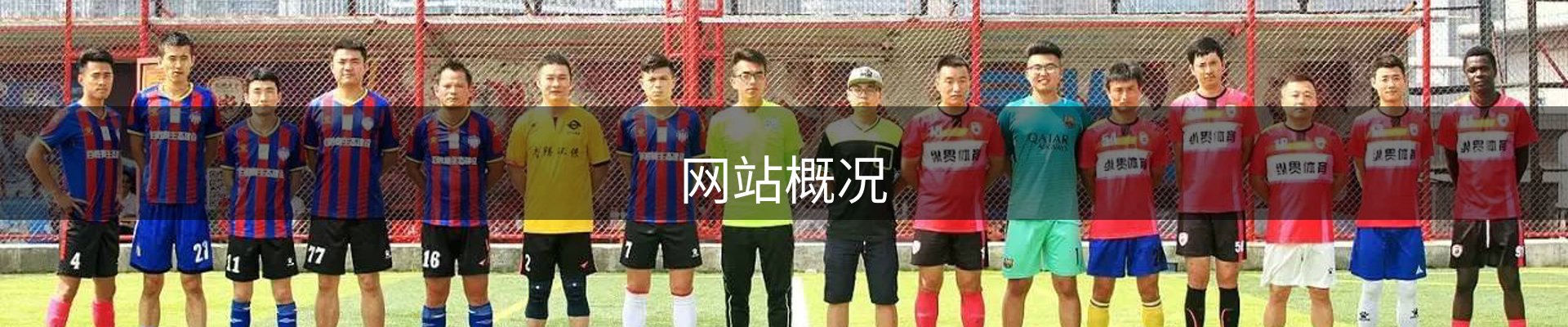 网站概况
